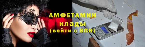 твердый Богородск