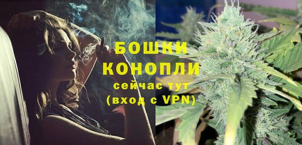 твердый Богородск