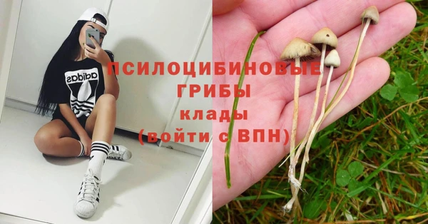 ALPHA-PVP Белокуриха